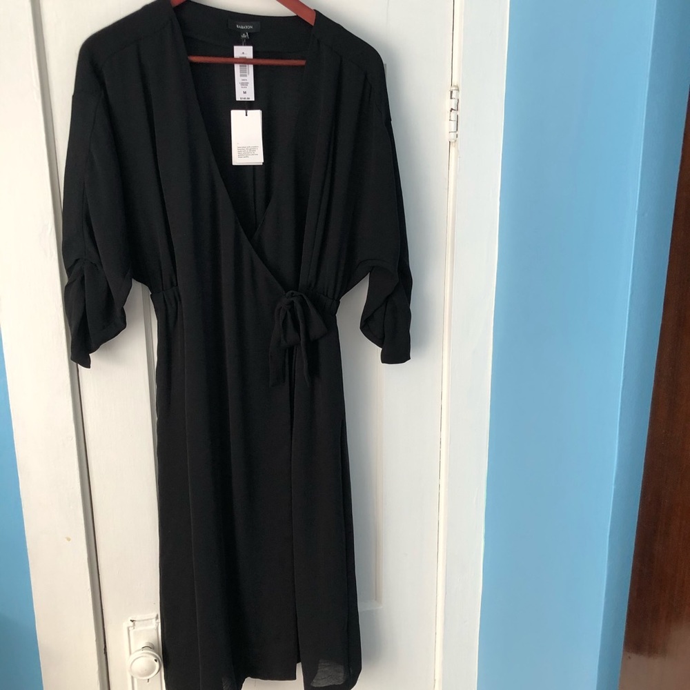 Babaton ‘Ludovic’ dress (aritzia)
